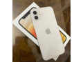 iphone-12-ayfon-12-small-0