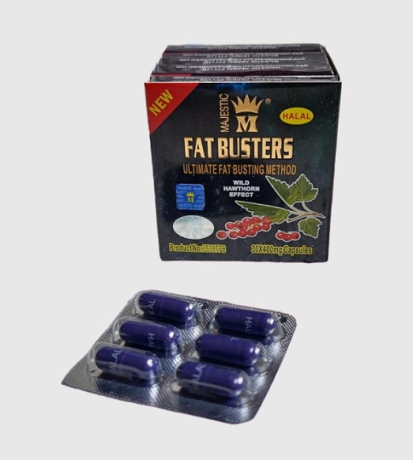 fat-bastrz-lltkhsys-fat-busters-big-0